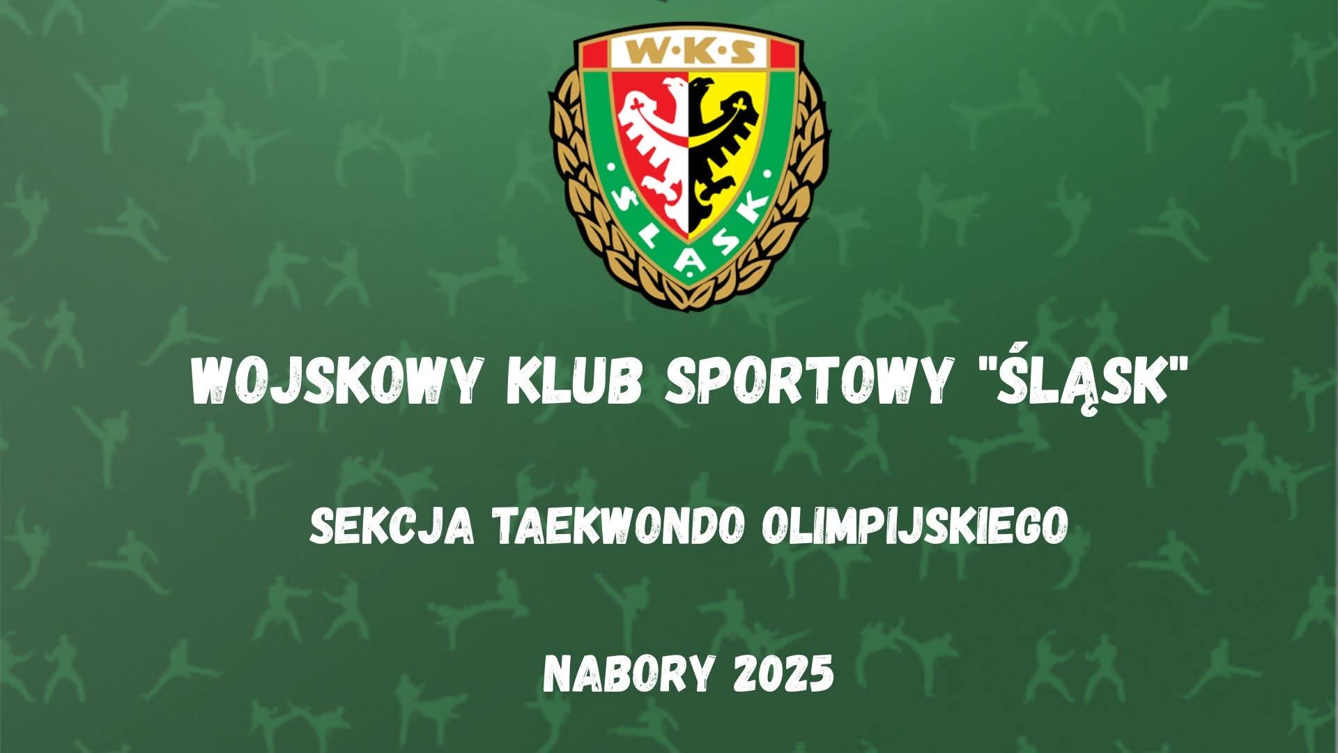 wks-slask-sekcja-taekwondo-olimpijskiego-oglasza-nabor-do-swoich-grup-treningowych